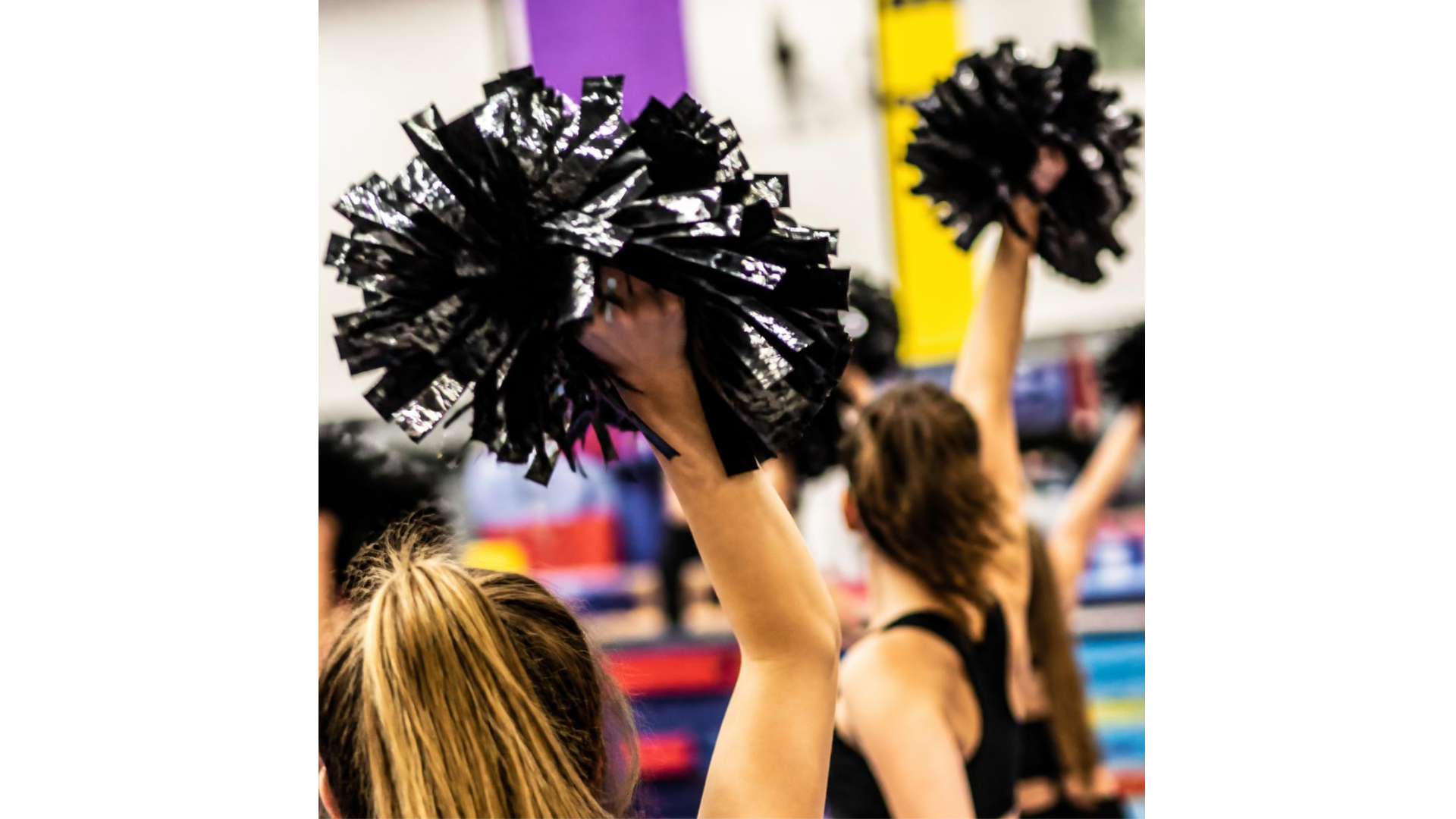 Pom Poms